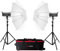 Godox SK400II-V 400Ws Reliable Studio Flash Strobe Light Kit in Photography Lighting 5600K LED Fast Recycling Time Product Portrait Monolight Wireless System Bowens Mount (Portable Twin Umbrella)