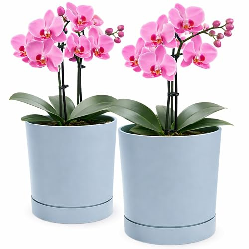 PECZEKO Blumentopf matt, Pflanzkübel aus Übertopf Kunststoff Dekorativer Topf für, groß und klein Pflanzen, 2er-Set blumenkübel, blumenkübel kräutertopf (2 Pack) Grau, ø 20 cm