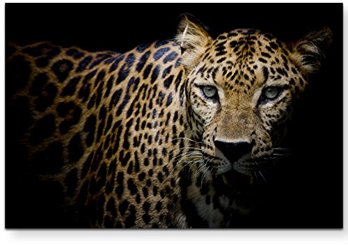 Paul Sinus Art Leinwandbilder | Bilder Leinwand 120x80cm Portrait Leopard