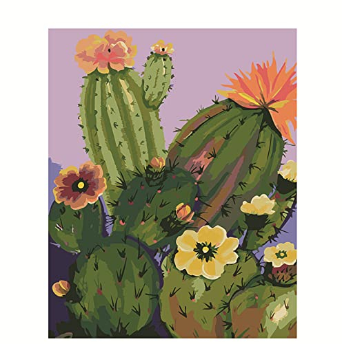 Kaktus-Blumen Malen nach Zahlen Erwachsene DIY Handgemalt Ölgemälde Malerei auf Leinwand Kinder Anfänger Malsets mit Pinseln Acrylic Paint by Numbers Kits Haus Wand Decor Geschenk 40x50cm Ohne Rahmen