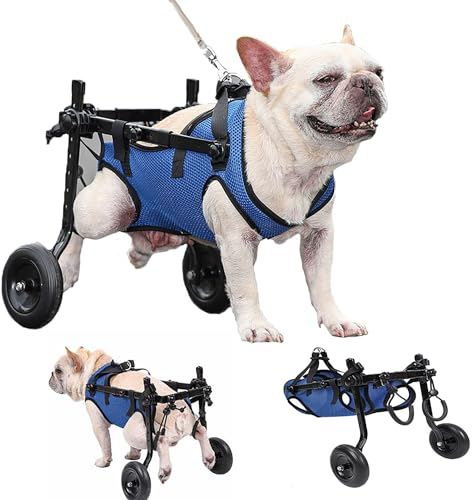 Hunde-Hinterbein-Rollstuhl – Haustier-Rollstuhl, Verstellbarer Hunde-Rollstuhl, Multifunktionale Leichte Haustier-Gehhilfen Für Alternde, Behinderte, Verletzte, Arthritis, Schwache Hunde/Katze/Haustie