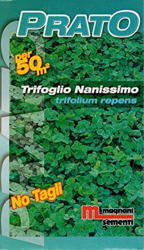 Trifoglio Nanissimo tappezzante 500gr