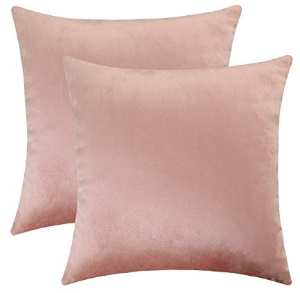 Jeneoo Set di 2 comode federe in velluto morbido per divano e divano con cerniera invisibile, decorative in tinta unita, per camera da letto auto (40 x 40 cm, rosa cipria)
