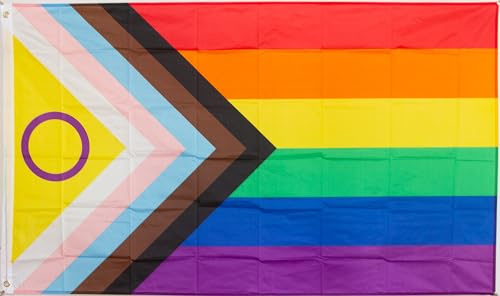 Everflag Flagge 90 x 150 : Progress Pride Flagge