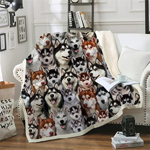 Kuscheldecke Flauschige 150x200 XL Grauer Husky für Kinder, Weiche Plüsch Decke für Kinder Adulte, Warm Flanell Fleecedecke Wendedecke Wohndecke für Bett, Wolldecke Sofadecke Tagesdecke
