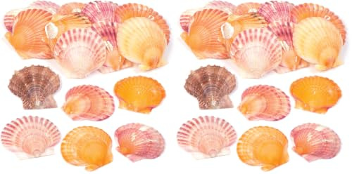 Baker Ross Petites coquilles de pétoncles (Sachet de 250 grammes) - Matériaux naturels pour Loisirs créatifs (Lot de 2)