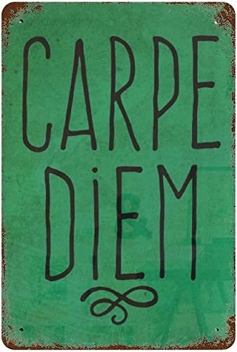 Vintage-Metallschilder, Carpe Diem, inspirierendes Zitat, Retro-Poster, Typografie, Kunst, positive motivierende Zitate, Küche, Büro, Zuhause, Wohnzimmer, Garage, Männerhöhle, Wanddekoration, Plaket