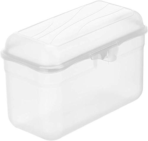 Rotho Fun Vesperdose 1,75l mit Klickverschluss, Kunststoff (PP) BPA-frei, transparent, 1,75l (19,5 x 10,5 x 12,5 cm)