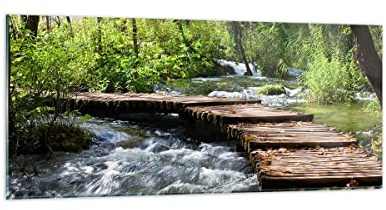 ARTTOR Bilder auf Glas 120x50cm Wandbild Glasdruck Landschaften Wald - 0356