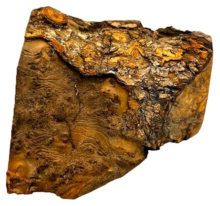 Matchpet Olive Wood Dog Chew Root – XL Natural Chewing Toy for Extra Large Dogs | Long-Lasting & Splinter-Free Dental Stick | Safe Dog Wood Chew for Strong & Aggressive Chewers