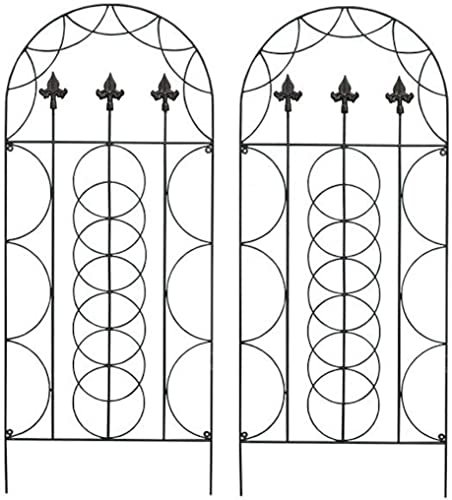 Selections Pack of 2 Fleur de Lys Design Metal Garden Trellis (120 x 50 Centimeter)