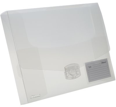 Rexel 2102029 Dokumentenbox ICE, PP, A4, 40 mm, 1 Stück, klar