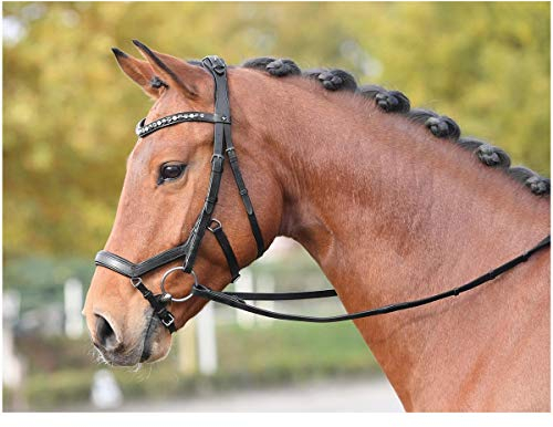Busse