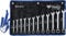 BRILLIANT TOOLS BT013212 Juego de llaves de estrella de carraca, conmutables, 12 pzs, 8-19 mm [Powered by KS TOOLS]