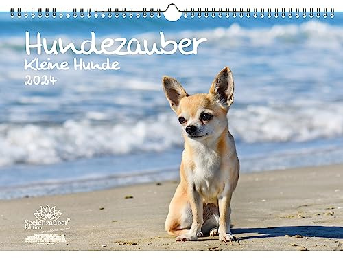 Hundezauber Kleine Hunde DIN A3 Kalender für 2024 Welpen und kleine Hunde - Seelenzauber