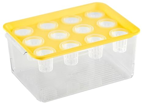 Aquaponic Planer und Aquarium - Kaufen Sie mit Pflanzenpflanzen, fördern Sie eine gesunde hydroponische Umgebung, ideal für Tischdekoration