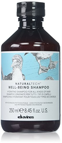Davines Naturaltech Well-Being Shampoo 250 ml