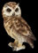 Figuren Shop GmbH Eulen Tier-Figur - Waldohreule klein | Vogel-Figur, Deko-Figur, Deko-Artikel, Statue, Skulptur, H 13 cm