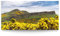 BilderKing Wandbild Schottland Arthurs Seat - 180cm x 90cm Leinwand auf 4cm Keilrahmen