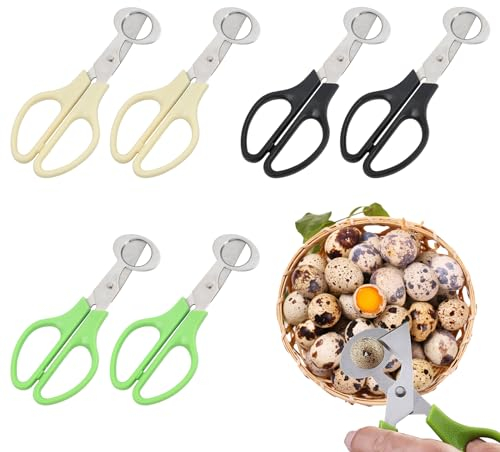 Wisebom Lot de 6 ciseaux à œufs de caille en acier inoxydable - Ciseaux à œufs de caille - Petits ciseaux à œufs de caille - Pour la maison, la cuisine, le restaurant