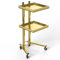 AAADRESSES Service Speicherwagen, Faltbare Salon Schale Mit RäDern, 2 Tier Metall Rollwagen, Faltblechstrolley, LagerstäNder Aus Edelstahl Salon, Friseurwagen,02,H:86cm