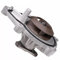 Pompa acqua refrigerante motore adatto per 1 serie 3 F20 F21 F30 F31 C3 C4 C5 DS3 DS4 DS5 DS7 Mini R56 R57 R60 R58 R61 207 208 3008 5008 508 508 508 Parte accessori per auto. 11517550484