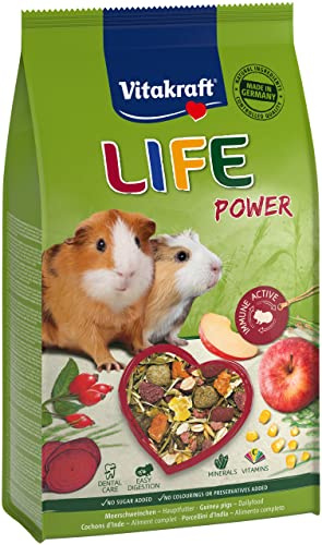 Vitakraft Life Power, Hauptfutter für Meerschweinchen, mit Apfel, mit Roter Beete, mit Beta-Glucanen, stärkt die Abwehrkräfte, unterstützt Abrieb nachwachsender Nagerzähne, ohne Zucker (1x 600g)