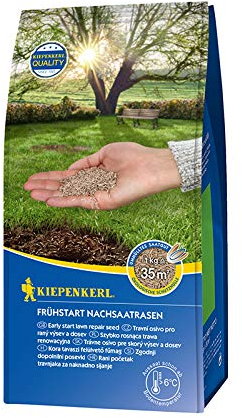 Kiepenkerl 651852 Frühstart Nachsaatrasen 1 kg (Rasensamen)