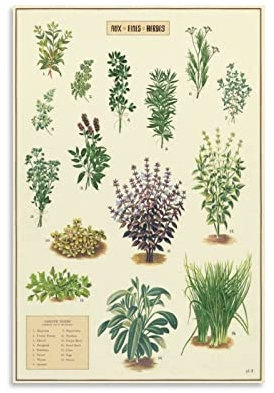 TSALF Poster Kunstdrucke Kein Rahmen Cavallini Vintage-Poster Raumdekoration für Teenager Mädchen Wandgemälde Heimdekoration Küche 60x90cm