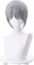 WELLHY Cosplay Perücke Furutsu Basuketto Fruits Basket Souma Cosplay Perücke for Herren Halloween Karneval Party Haar Hitzebeständiges Kunsthaar for Coser