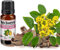 Huile essentielle BOIS DE ROSE SAUVAGE 10 ml - HECT Chémotypée 100% Pure et naturelle | Pour la peau et la détente | La vie en zen