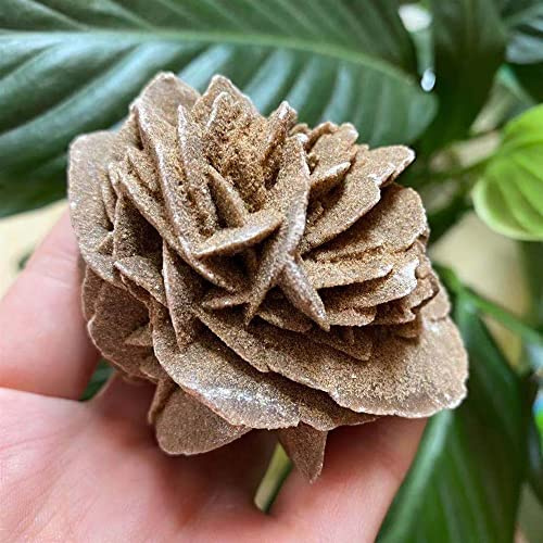 RNUMLIGH Home Natural Desert Rose Raw Stone Crystal Home Office Exemplar Geschenk ZoCzkgzd (Size : 310-350g)
