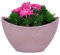 matches21 HOME & HOBBY Hohe Deko-Schale Vintage alt-rosa 24 x 10 x 14 cm Outdoor Pflanz-Schale Tischdeko