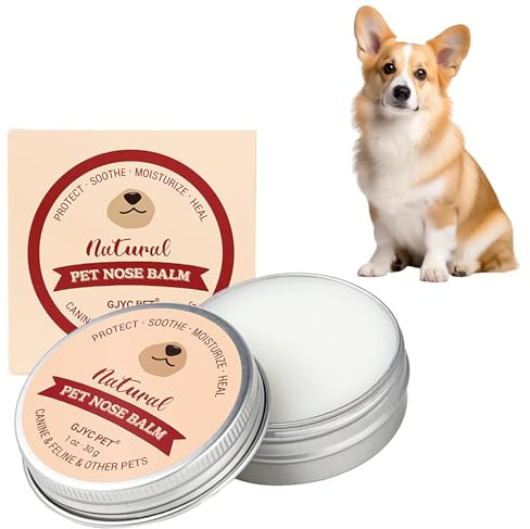 ChAusa Beruhigender Nasensalbe, Nasensalbe Trockene Nase Innen, Schnell Einziehende Wundsalbe für Hunde, Natürliche Linderung und Feuchtigkeit für Trockene, Rissige, für Welpen Hunde und Katzen
