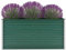 Festnight Gartenpflanzen Hochbeet Gartenbeet Verzinkter Stahl Frühbeet | Pflanzkasten Pflanzkübel Blumentopf Blumenkasten Blumenkübel Pflanztopf Pflanzgefäß für Garten Blumen Gemüse Größen