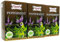 Apsara Premium té de menta pura con 100% menta natural, té de hierbas - refrescante y lleno de sabor, té de menta en un juego de 3-60 bolsitas de té