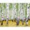 murando Fototapete selbstklebend Birke 245x193cm Foto Tapete Tapetenfolie Möbelfolie Wandverkleidung Wandtapete Motivtapeten Bildtapete Wohnzimmer 3d Effekt Natur Wald Landschaft Abstrakt wie gemalt