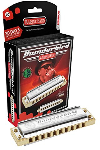 HOHNER M2011BX Thunderbird Harmonica, Key of Low Eb, Stainless steel (M2011BXL-EF)