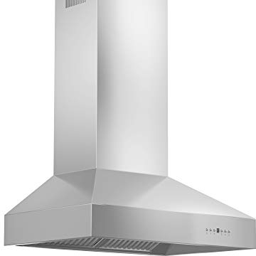 ZLINE 48 Outdoor Ducted Wall Mount Range Hood in Outdoor Approved Stainless Steel (667-304-48)