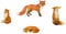 PLIGREAT 4 Stück Fuchs Wandtattoo Kinderzimmer Niedlicher Cartoon-Fuchs Wandbilder Aufkleben DIY-Vinyl-Wandaufkleber für Schlafzimmer Wohnzimmer Zuhause Wanddekoration