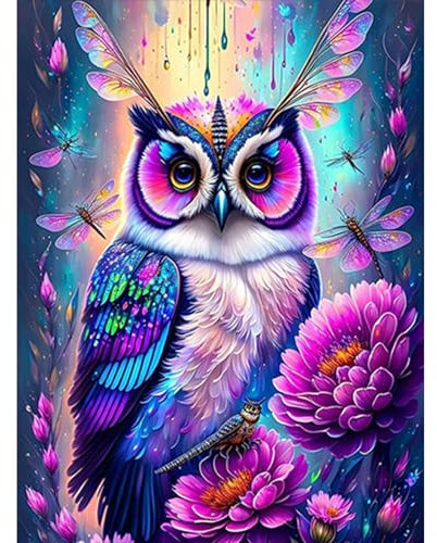 GHHKUD Diamond Painting für Erwachsene, Eule 5D DIY Diamant Painting Bilder für Erwachsene Anfänger, Diamond Painting Set, Full Drill Diamant Malerei für Haus Dekoration 30x40 cm