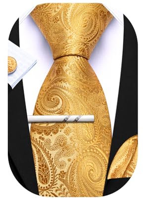 Barry.Wang Herren Seiden-Paisley-Krawatten mit Taschentuch Manschettenknopf Krawattenset Feierliche Hochzeit 3PCS