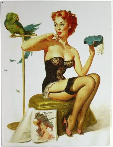 Kühlschrank Metall Magnet 6x8 cm Pinup Girl mit Papagei Nostalgie Tin Sign EMAG185