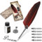 Handgemachte Dip Pen, Feder Schreibfeder Kalligraphie Feder Vintage Federstift Tinte Set Antiken Feder Kalligraphie Stift für den Selbstgebrauch, Gift und Antique