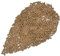 Hair Beads Silicone Lined Nano Rings Micro Links Beads for Hair Extensions Feather Extension (200 Pcs 3.0mm Dark Blonde)