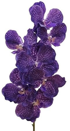 HXSCOO Simuliertes Blumengefühl, Vanda-Orchidee, Hochzeit, Heimdekoration, Blumenarrangement, Orchideen-Corsage, Handstrauß (Color : Purple Blue)