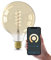 CALEX Smart LED Lampe, E27, G125, Gold Filament, warmweißes Licht, dimmbar, WLAN App- & Sprachsteuerung