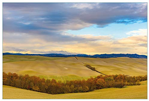 Wallario Küchenrückwand selbstklebend 90 x 60 cm, Motiv: Herbst in der Toskana | Spritzschutz abwischbar & pflegeleicht