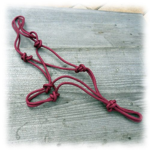 Knotenhalfter Standard bordeaux Warmblut/Kaltblut