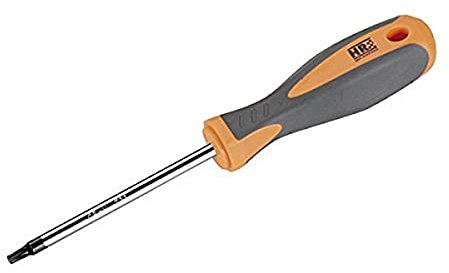 RH 170443 Destornillador Torx, Gris/Naranja, T25 x100 mm